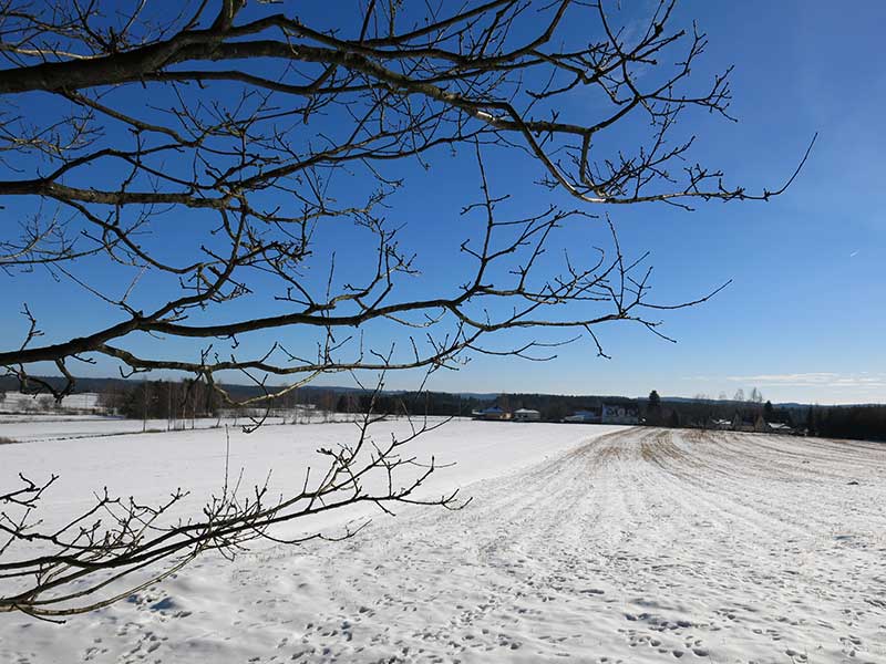 Waldviertel